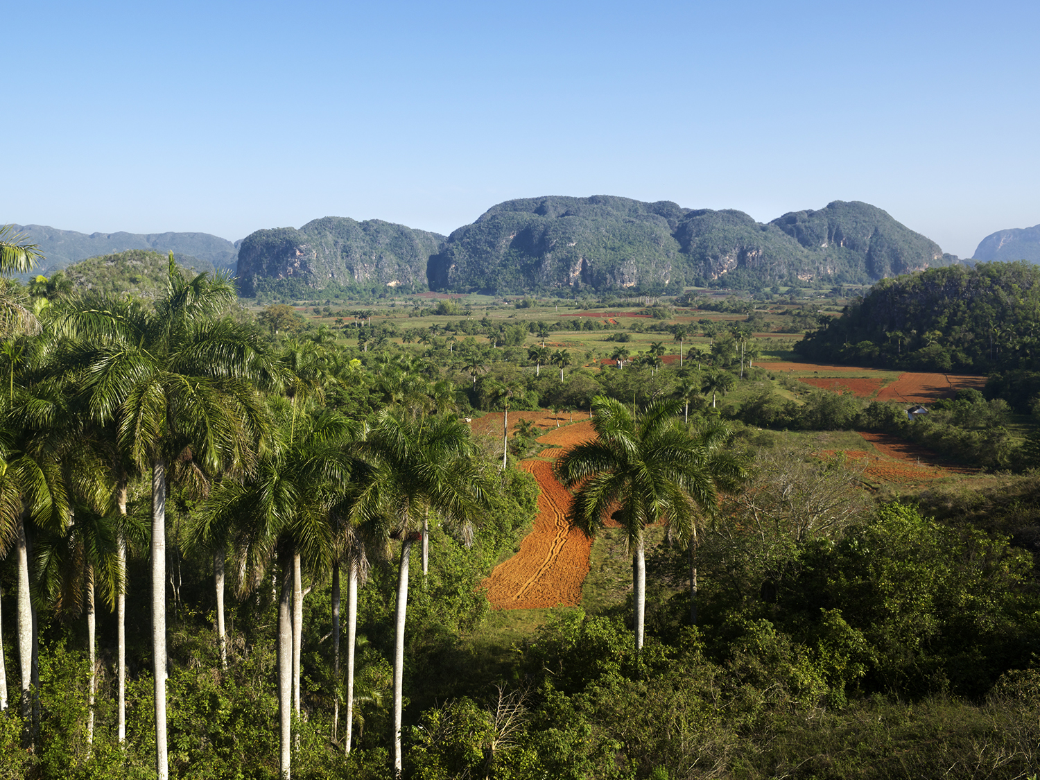 Day 4 - Vinales