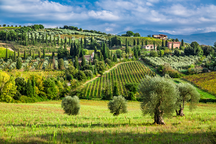 Rome to Milan by Train - 11 days