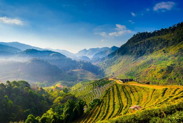 WESTERN GHATS - On the Go Tours