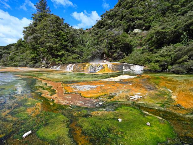 Rotorua - New Zealand - On The Go Tours