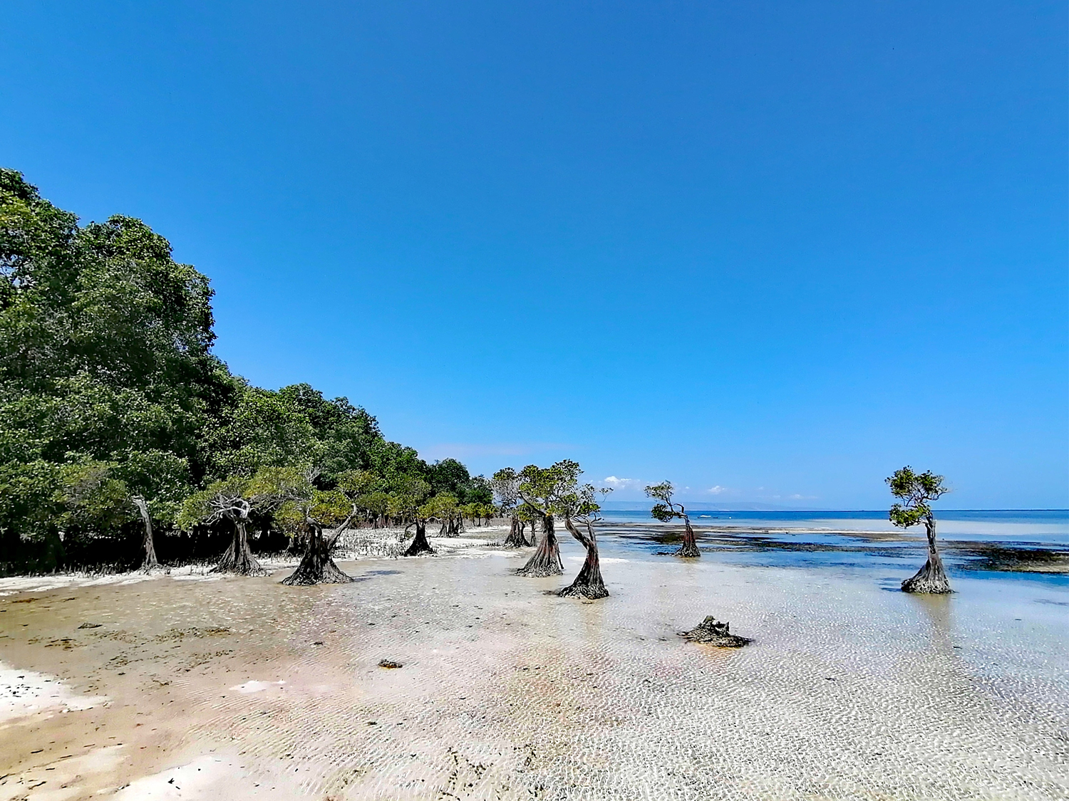Day 3 - Rolling Hills, Waterfalls & Beach