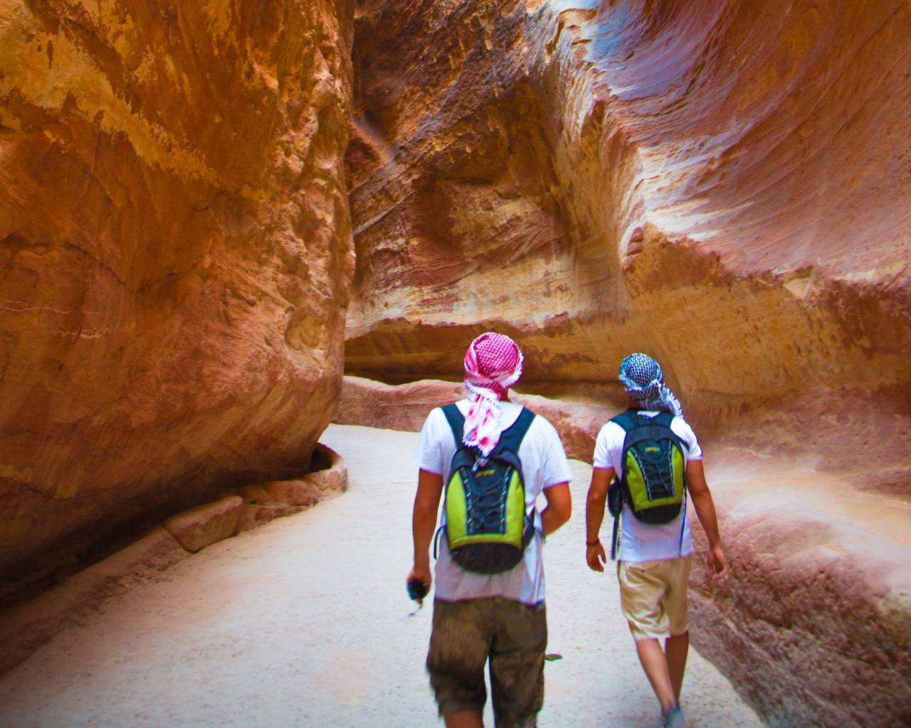 edderkop For en dagstur øverst Culture & Adventure tour of Jordan in 6 Days | On The Go Tours | US