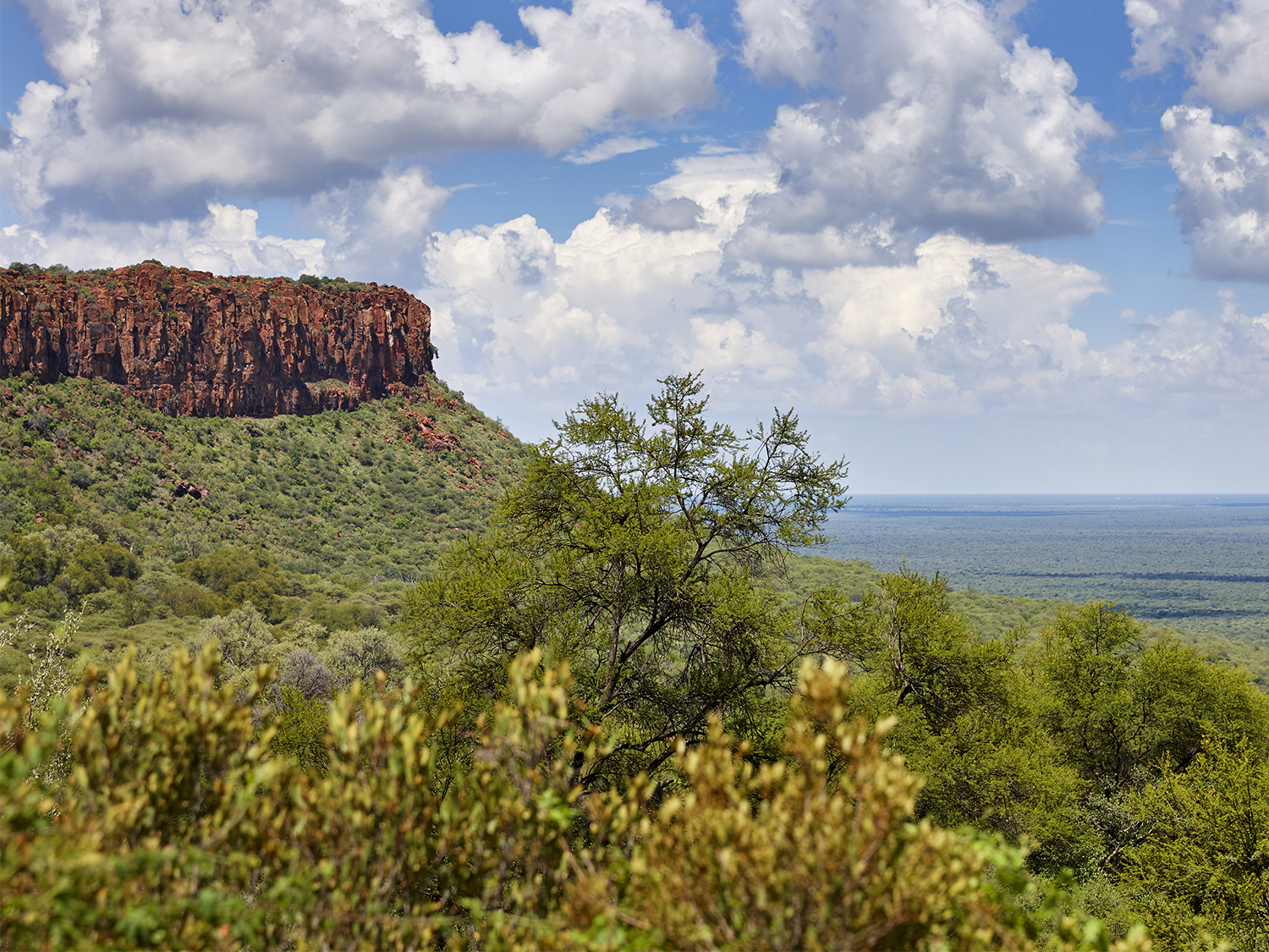 Day 8 - Waterberg