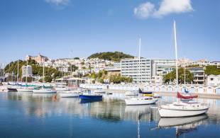 Wellington Oriental Bay - New Zealand - On The Go Tours