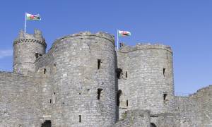 Welsh Wanderer main image - Harlech Castle
