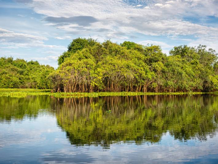 Wetlands of the Pantanal