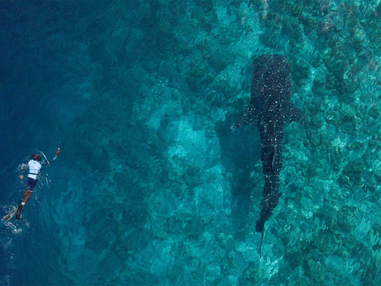 Day 7 - Thimarafushi