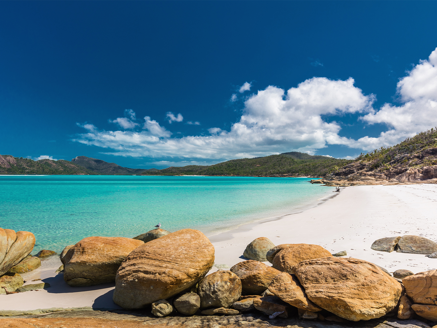 Whitsundays, Reef & Rainforest - 9 days