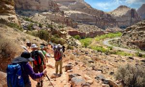 Wild West Encompassed main - BINDLESTIFF IMAGE