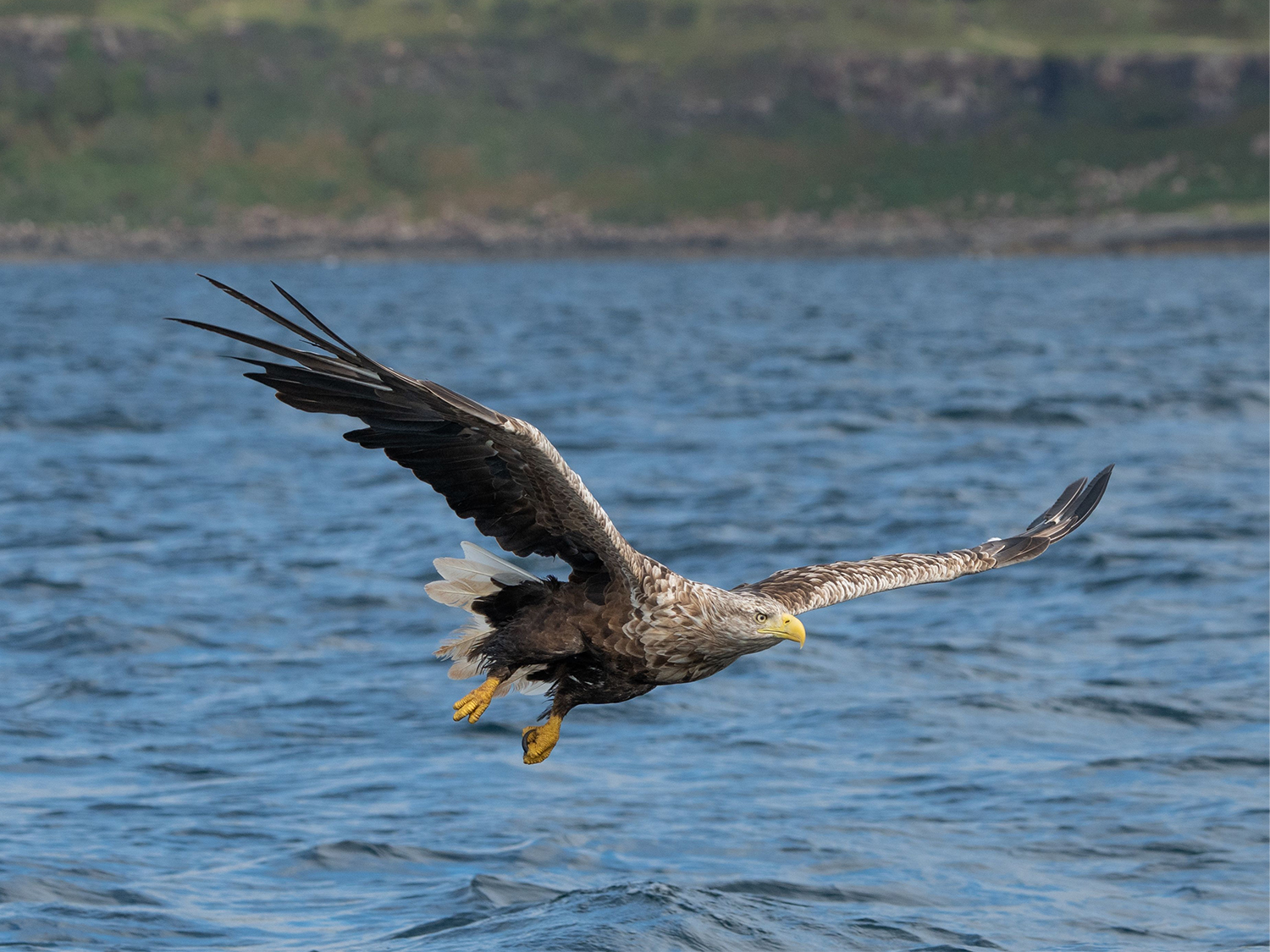 Day 3 - Mull