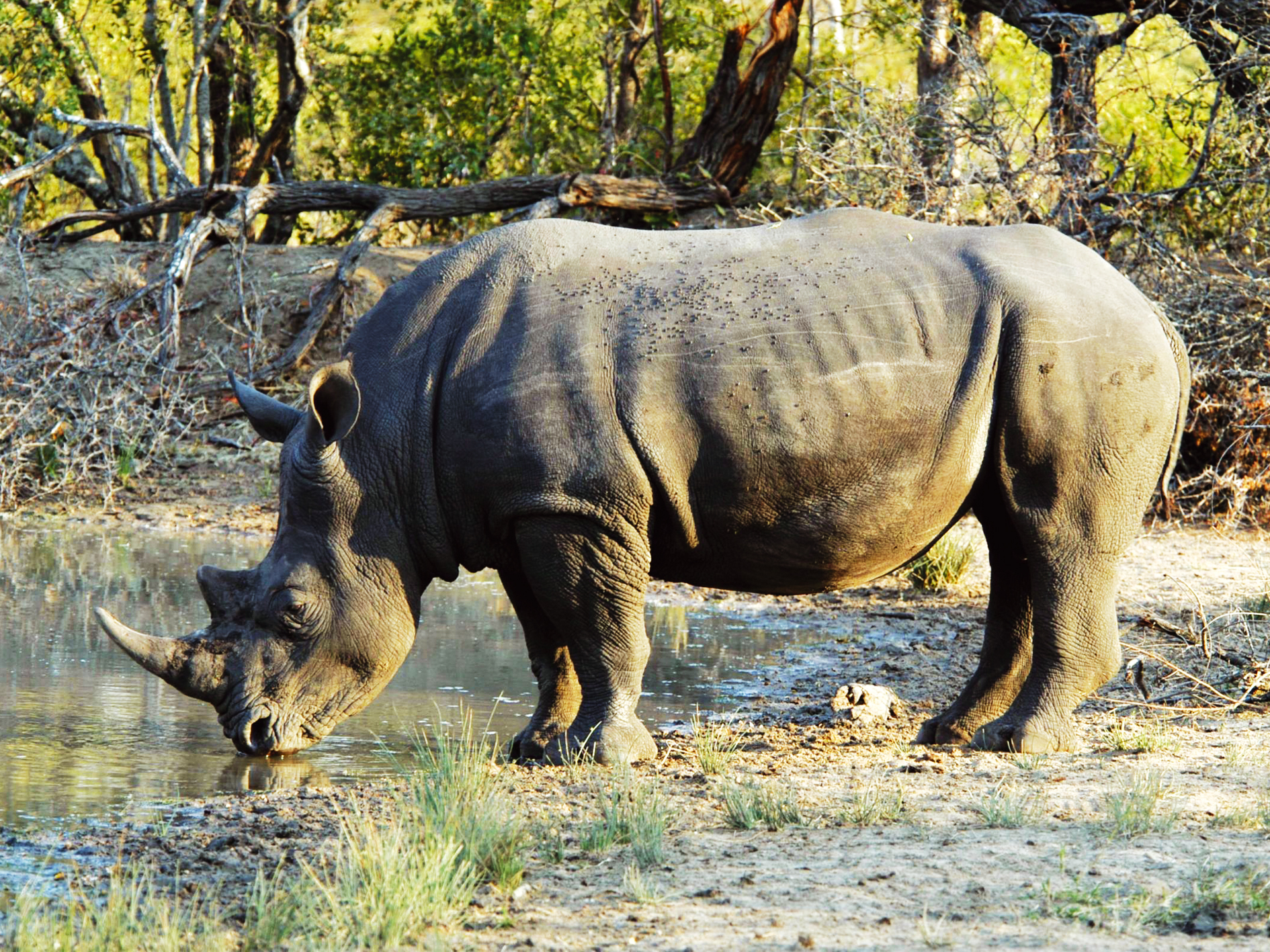 Day 10 - Arusha