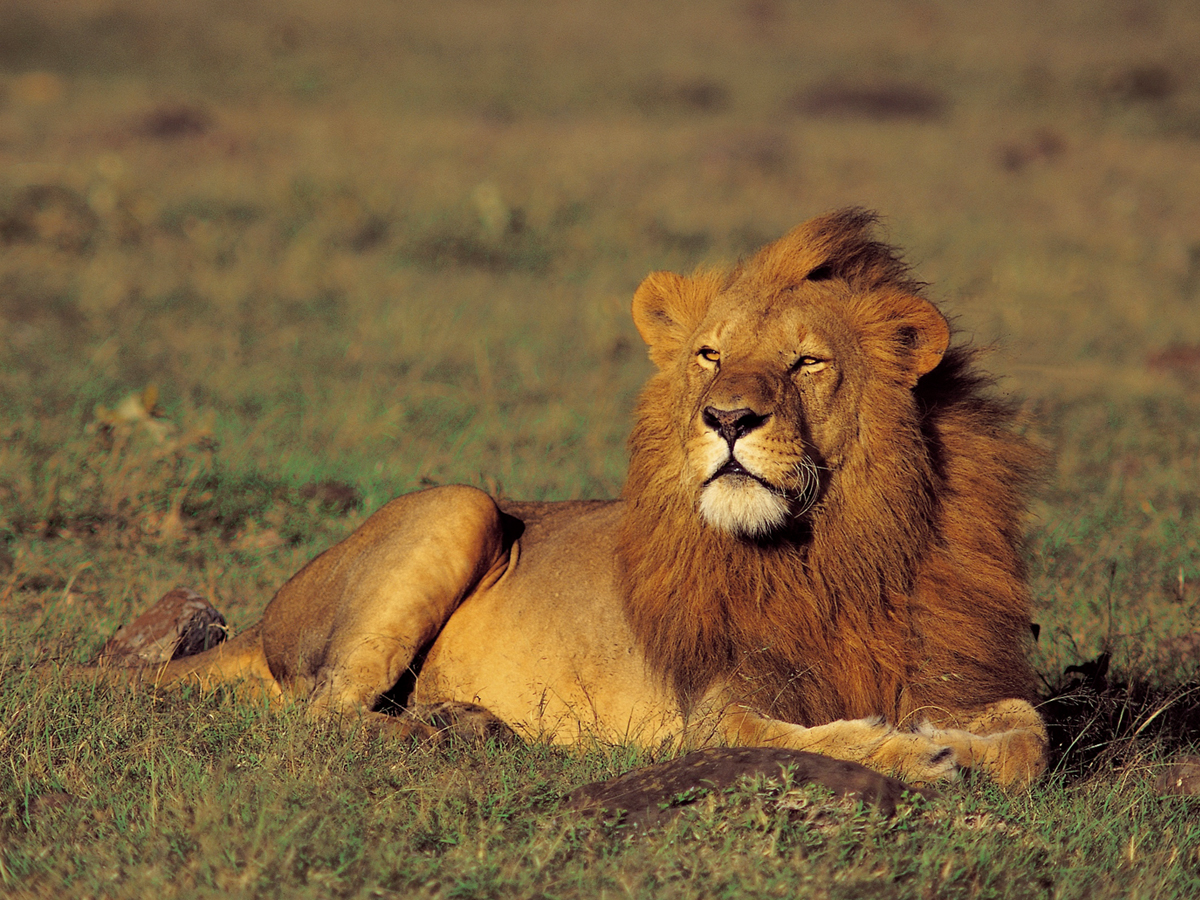 Day 8 - Ngorongoro Crater