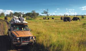 Wild-About-Tanzania-Itinerary-Main-Tailor-made-Holidays-Africa