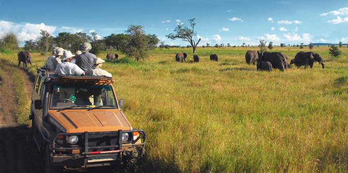 On safari | Serengeti | Tanzania