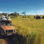 On safari | Serengeti | Tanzania