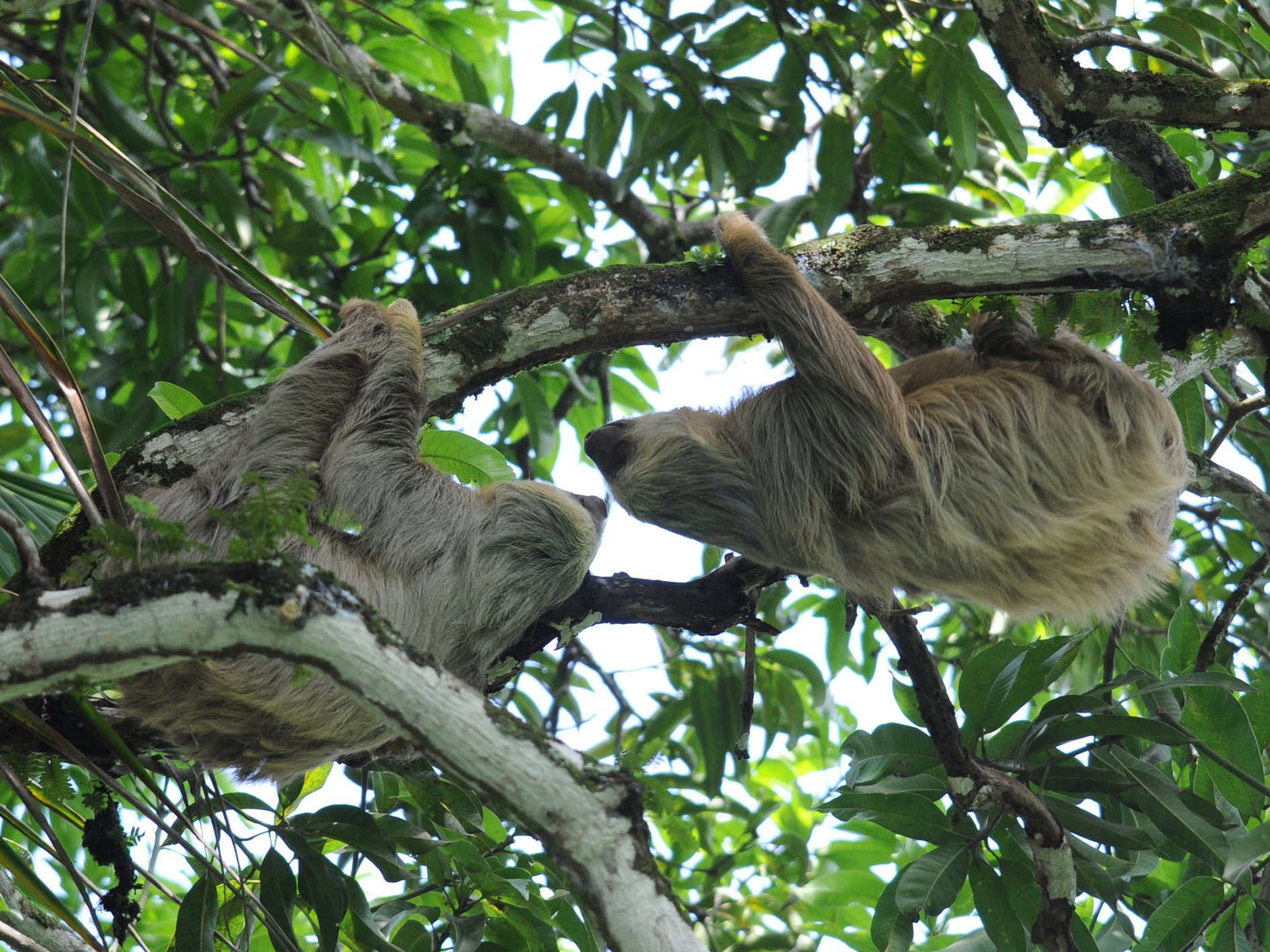 Captivating Costa Rica - 9 days