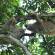 Wild-Costa-Rica-Image-Main-Central-America
