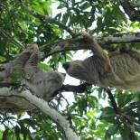 Manuel Antonio National Park | Costa Rica | Central America