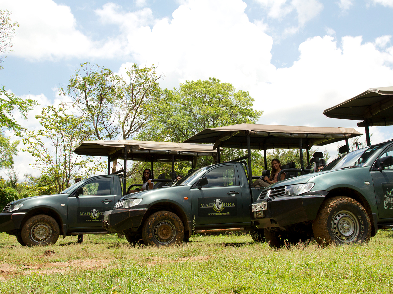 Day 2 - Wilpattu National Park
