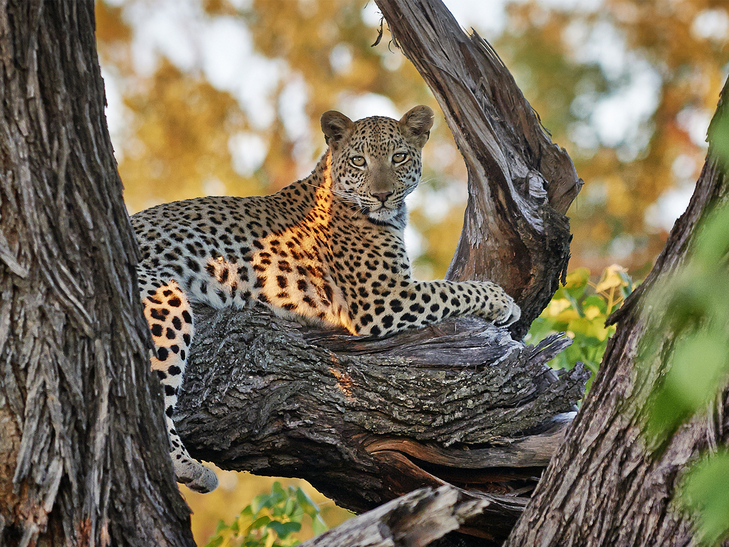 Tanzania & Zanzibar (Accommodated) - 10 days