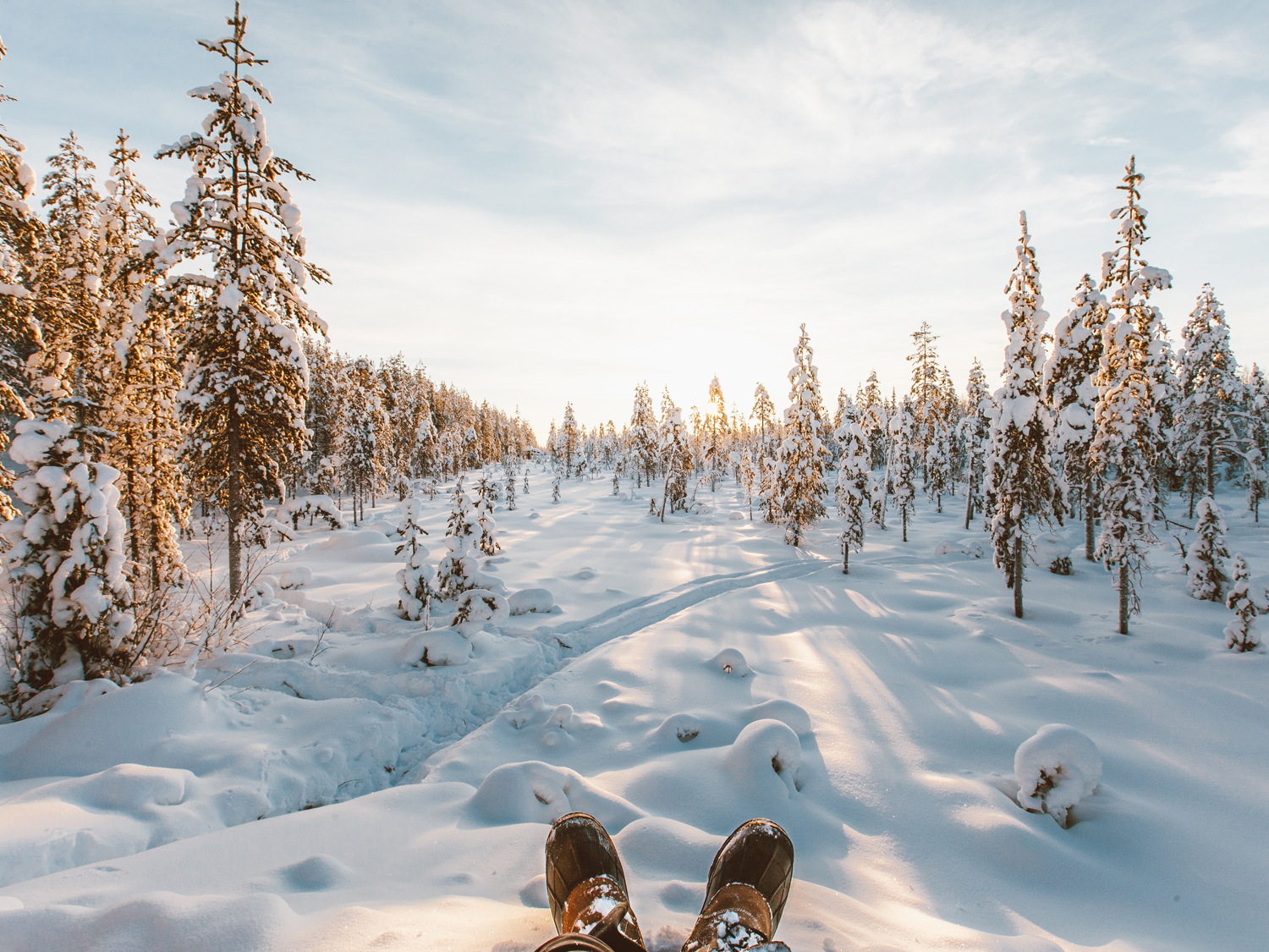Day 6 - Kuhmo