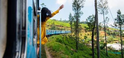 Woman enjoying train ride through Sri Lanka tea plantations