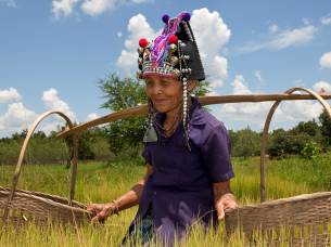 Woman from the Akha Hill Tribe