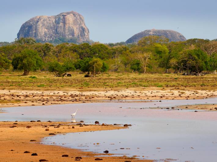 Yala National Park landscape - Sri Lanka - On The Go Tours