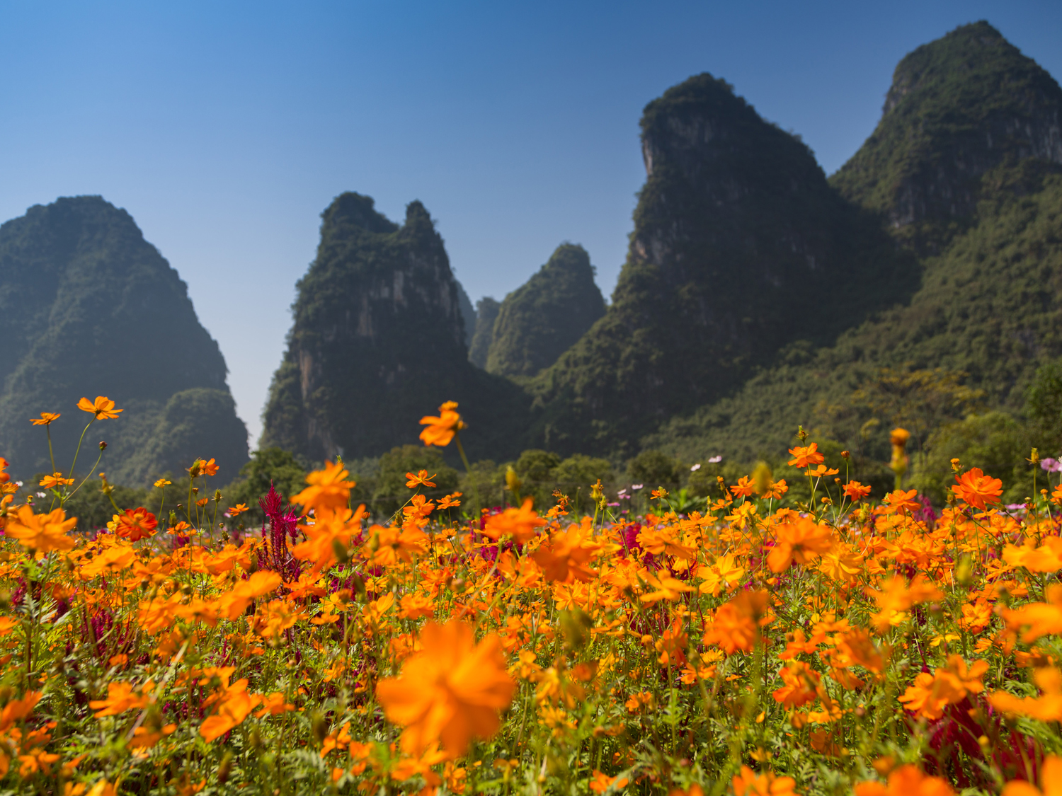 Day 8 - Journey to Yangshuo
