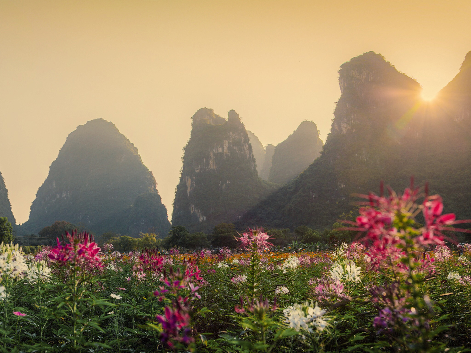 Day 8 - Journey to Yangshuo