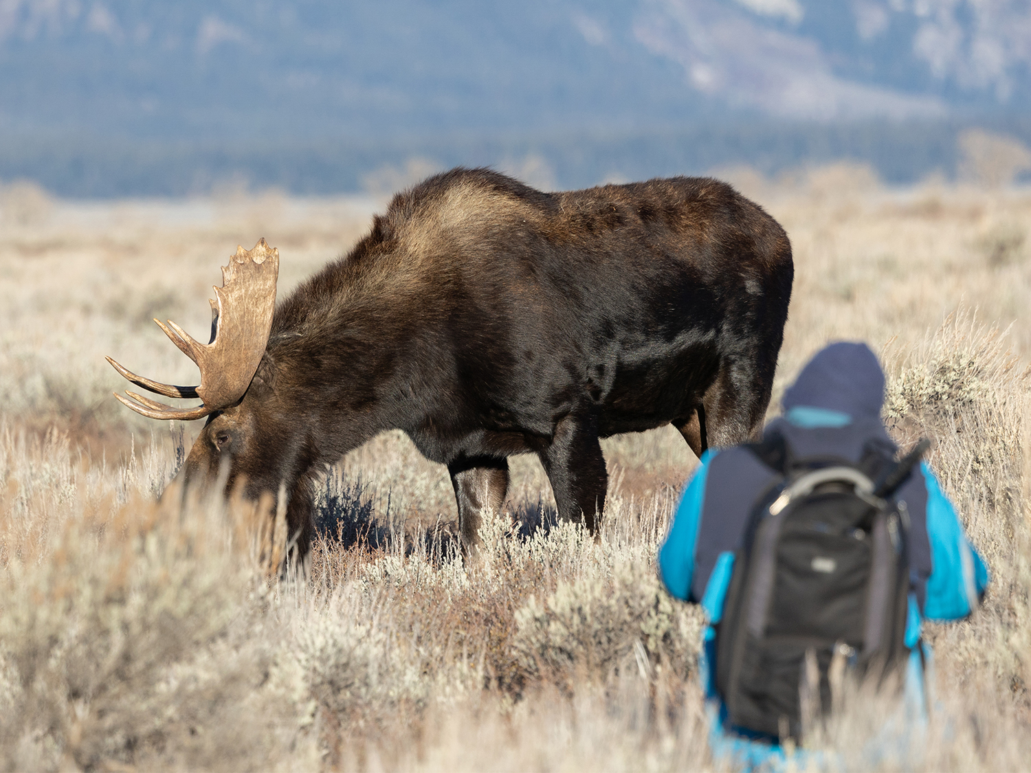 Yellowstone & Yosemite (Camping) - 11 days