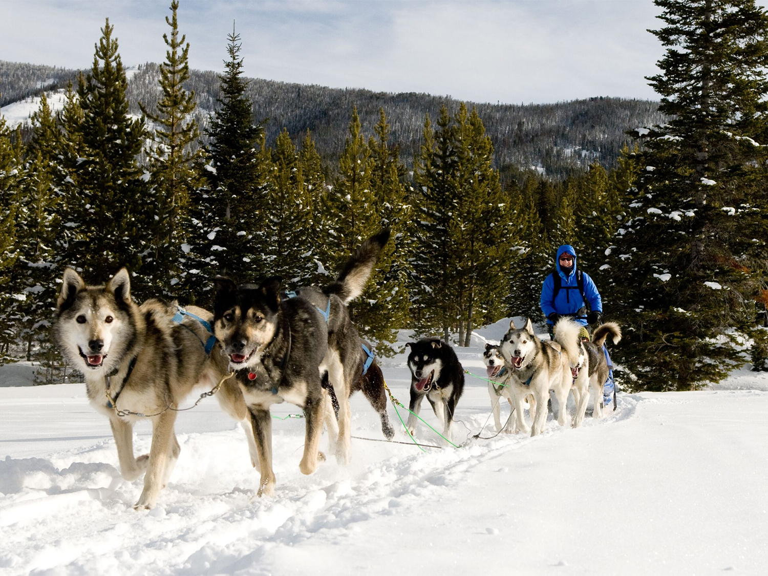 Day 6 - Bozeman
