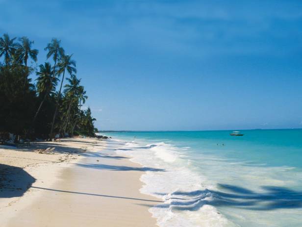 Zanzibar Highlight