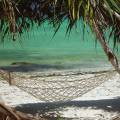 Zanzibar Highlight