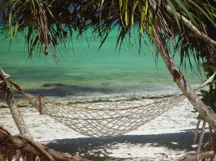 Zebras-And-Zanzibar-Itinerary-3-Classic-Safaris-Africa