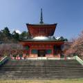 The Zenko-ji hilltop temple in Nagano