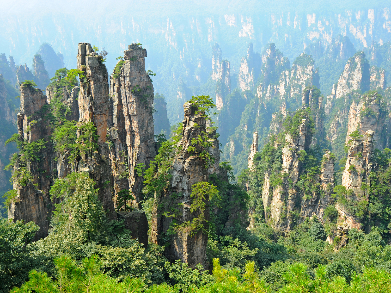 Totally China & Zhangjiajie - 11 days