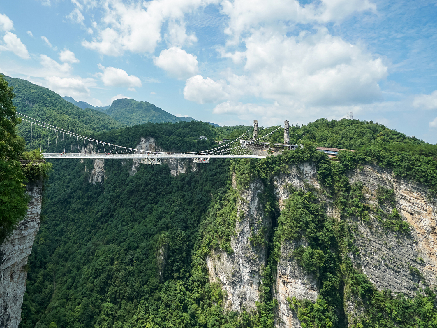 Day 8 - Glass Bridge & Scenic Forest Walk