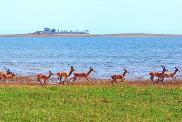Zimbabwe - Lake Kariba