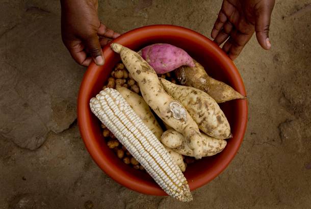 Zimbabwe food of yams - Top Travel Tips