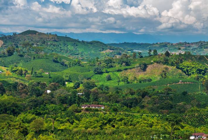 Zona Cafetera - Web Ready Highlight