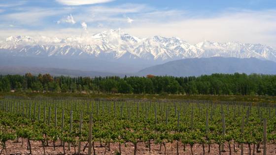 Five Experiences You Need to Have in Argentina Article Image