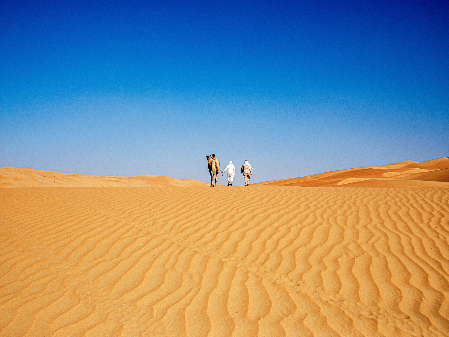 Dubai & Abu Dhabi Desert Safari (5 Star) - 4 days
