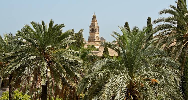 Madrid to Costa del Sol Express - 5 days