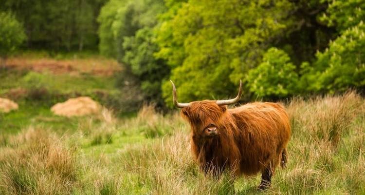 Edinburgh to Inverness & Skye - 3 days