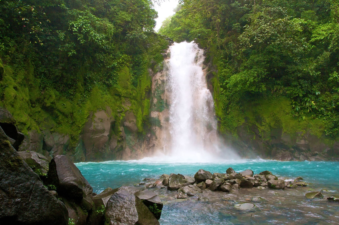 Costa Rica Nature Exploration - 8 days