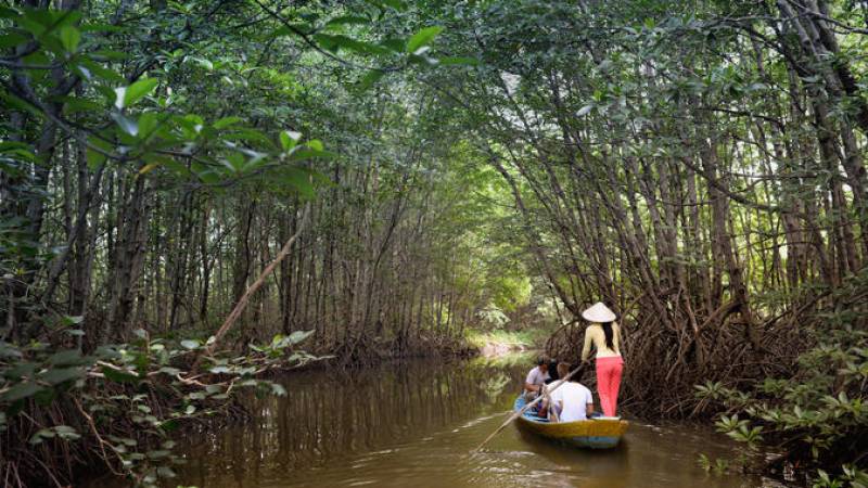 Can Gio Biosphere Reserve Tour by Luxury Speedboat