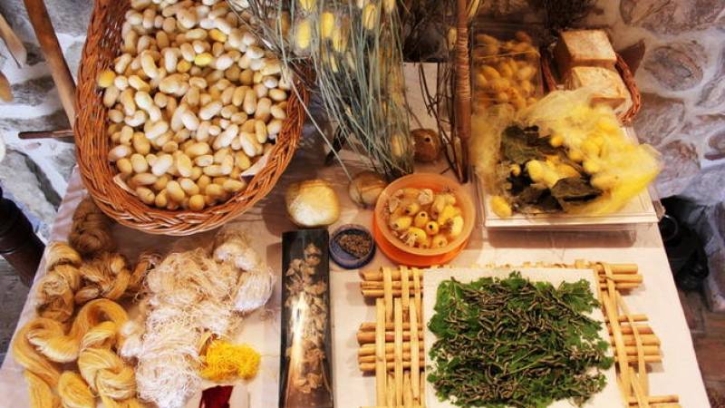 Cavtat and Konavle: The Cradle of Sericulture Private Tour from Dubrovnik