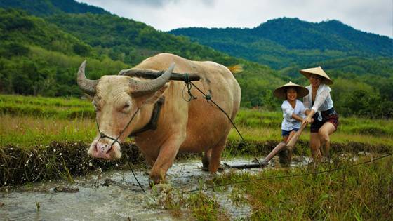 Top 10 Travel Experiences to Have in 2019 Article Image
