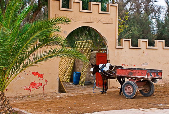 Day 2 - Terrific Taroudant